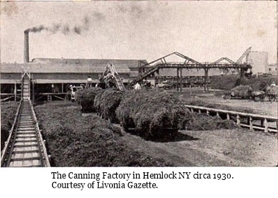 hcl_business_hemlock_canning_factory_buildings04_1930_resize400x240