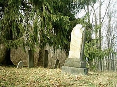 hcl_pic01_cemetery_canadice_hollow_2011_resize400