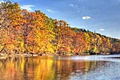 hcl_column_crothers_angela_nature_in_the_little_finger_lakes_2015_10_twelve_things_october_120x80