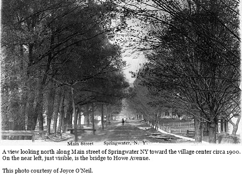 hcl_community_springwater_1900c_main_st_looking_south_howe_ave02_resize480x288