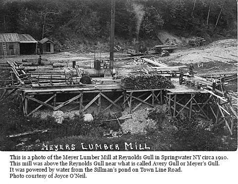 hcl_community_springwater_1910_meyers_lumber_mill_resize480x306