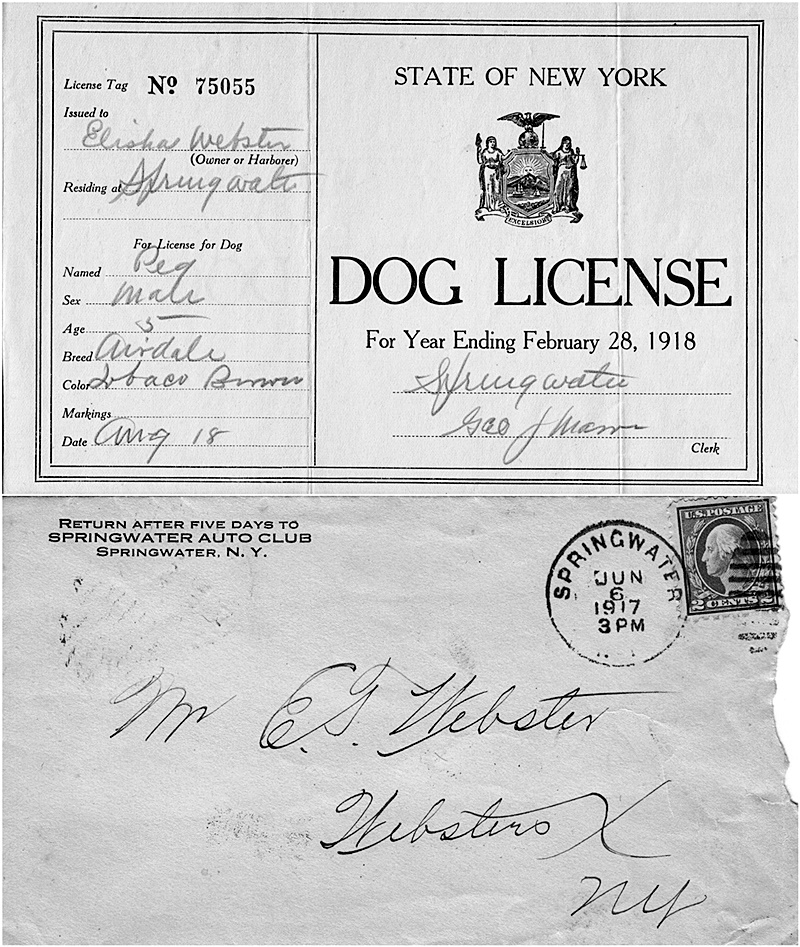 hcl_document_license_1918_webster_elisha_for_dog_resize800x947