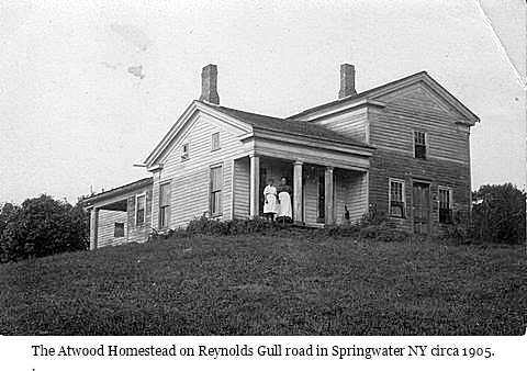 hcl_pic01_homestead_springwater_atwood_reynolds_gull_1905_resize480x306