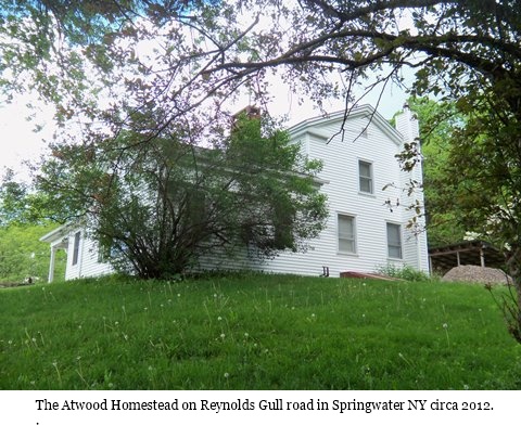hcl_pic02_homestead_springwater_atwood_reynolds_gull_2012_resize480x360