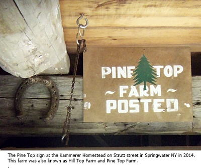 hcl_homestead_springwater_kammerer_2014_pine_top_sign02_resize400x300