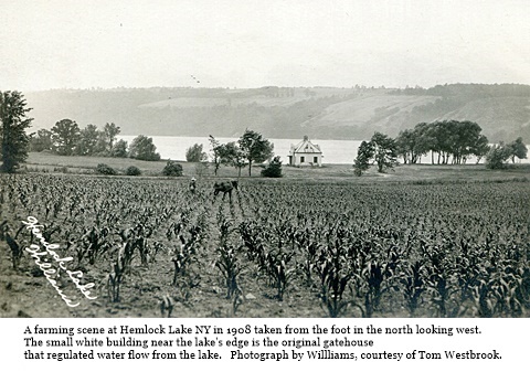 hcl_lake_scene_hemlock_1908_view_of_north_end_looking_south_west_pic01_resize480x288