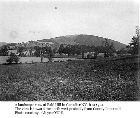 hcl_landscape_canadice_1924c_bald_hill01_looking_north_west_resize480x348