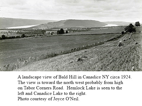 hcl_landscape_canadice_1924c_bald_hill02_looking_north_west_resize480x240