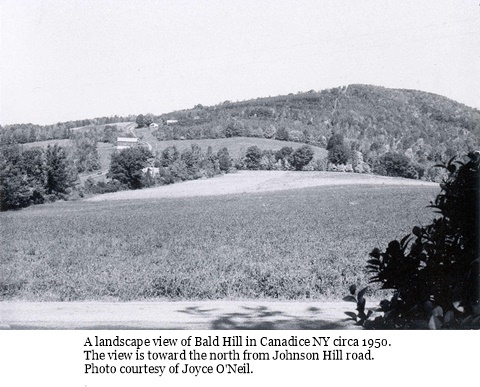 hcl_landscape_canadice_1950c_bald_hill03_looking_north_from_johnson_hill_rd_resize480x330