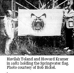 hcl_news_article_1982_07_28_a_flag_for_springwater_by_bob_bickel_for_democrat_chronicle_resize240x180