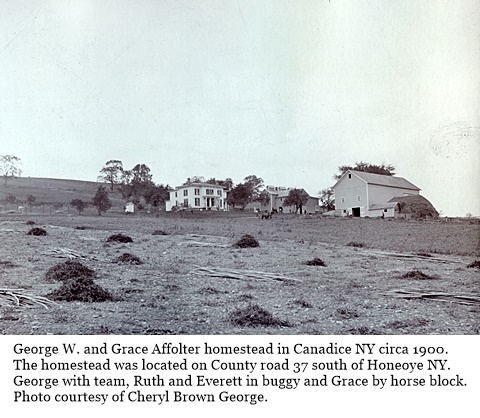 hcl_homestead_canadice_affolter_county_road_37_c1900_resize480x335