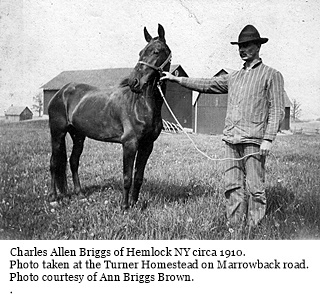 hcl_people_briggs_charles_with_horse_at_turner_farm_c1910_resize320x240