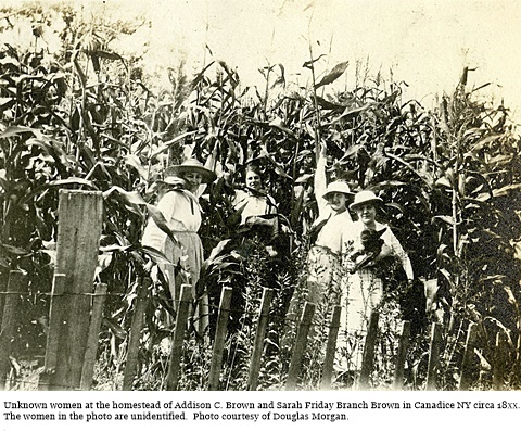 hcl_people_brown_c18xx_unknown_women_at_corn_resize480x360