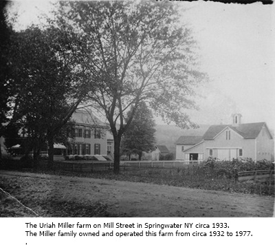 hcl_pic05_homestead_springwater_miller_1933_resize400x316