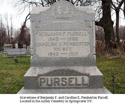 hcl_people_pursell_benjamin_f_and_pemberton_caroline_e_gravestone_springwater_ashley_cemetery_resize480x360