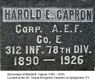 hcl_people_capron_harold_e_gravestone_springwater_mt_vernon_cemetery_resize320x240