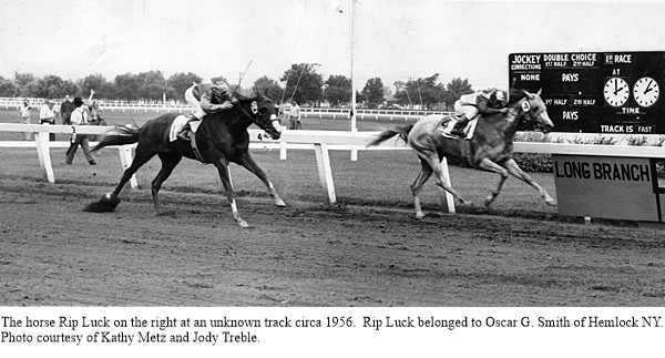 hcl_people_smith_oscar_g_1956c_horse_rip_luck_at_right_pic01_resize600x277